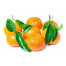 Buah Jeruk Mandarin/Santang Buah Jeruk Mandarin/Santang