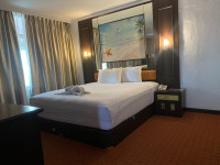 PRIMA SUITE no-image