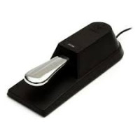 Sustain Pedal Keyboard no-image