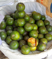 Jeruk Manis no-image