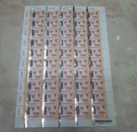 Materei 10.000 no-image