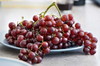 Anggur Merah no-image