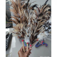 Sapu Bulu Ayam no-image