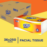 Tissue 250 Sheet no-image