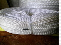 Tali Bendera no-image