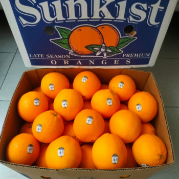 Buah jeruk sunkist