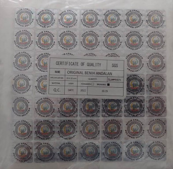 Hologram Semi Custom 3D