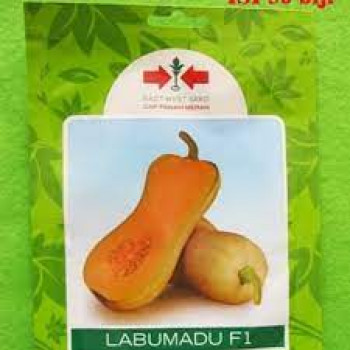 BENIH LABU MADU F1 PANAH MERAH @50 Biji