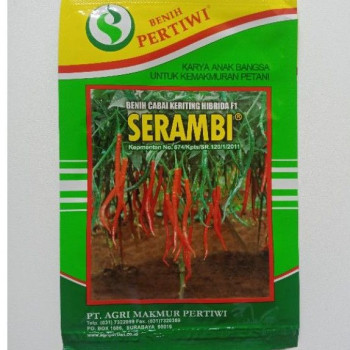 Benih Cabai Keriting