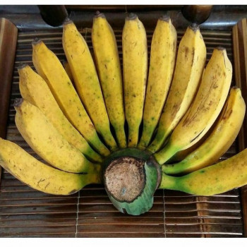 Pisang
